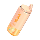 Pêssego Gelado & Fruta do Dragão Gelada & Fruta Mista