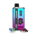 Mirtilo Gelado & Pitaya Negra Gelada