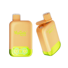 Limette-Zitrone & Wassermelone Ice